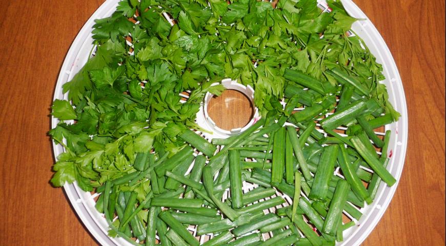 Овощной бульон на зиму - приправа из сушеных овощей и зелени, разложить зеленый лук и петрушку по поддону для сушилки